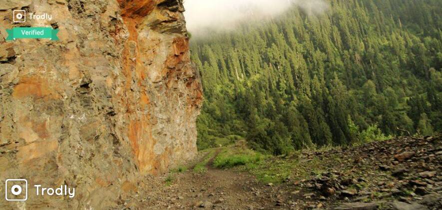 Off-roading and Camping Trip to Biijli Mahadev via Kais Wildlife Sanctuary
