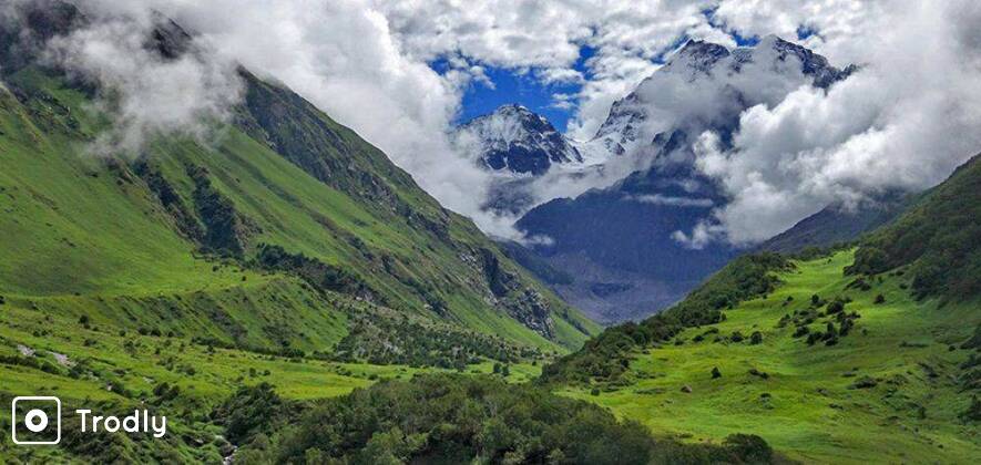 Valley of Flowers and Hemkund Trek