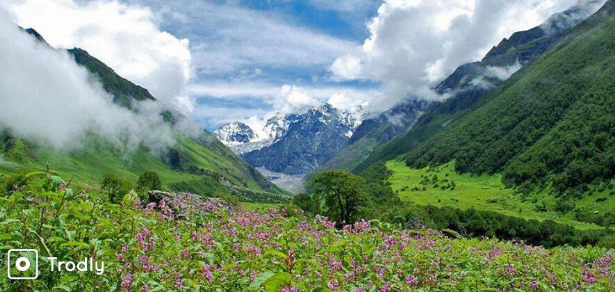 Valley of Flowers and Hemkund Trek