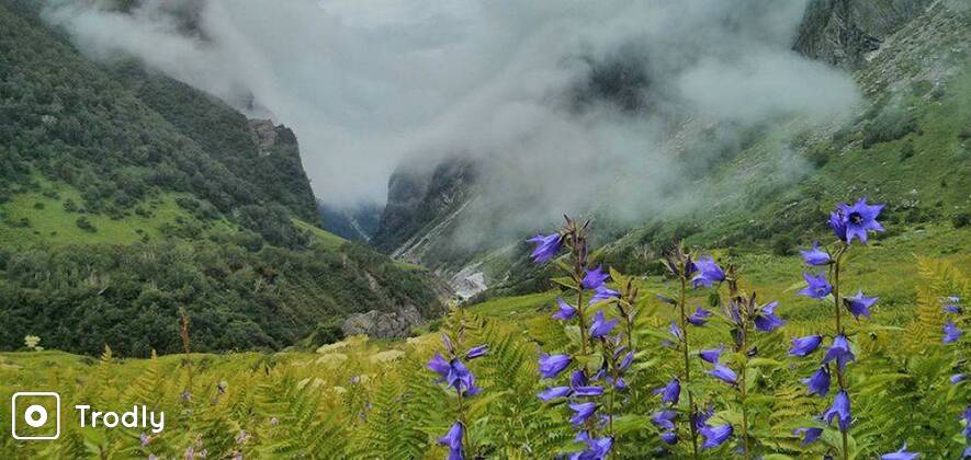 Valley of Flowers and Hemkund Trek