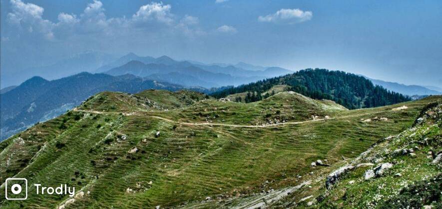 Dalhousie Overnight Camping in Forest