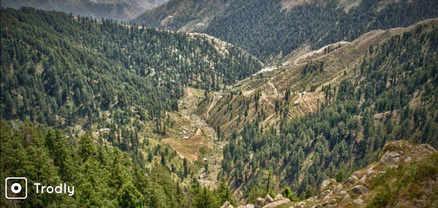 Dalhousie Overnight Camping in Forest