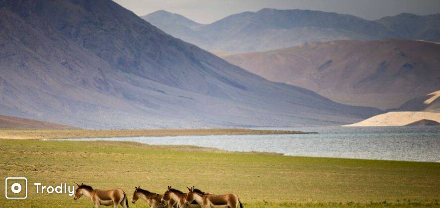 Independence Day Parang La Trek - 2017 - Spiti to Ladakh