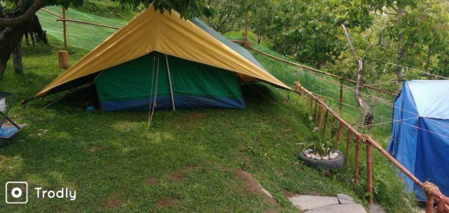 Trekking & Camping at Narkanda