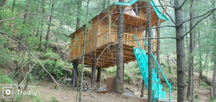Treehouse Adventure in Pabbar Valley