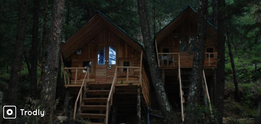 Treehouse Adventure in Pabbar Valley