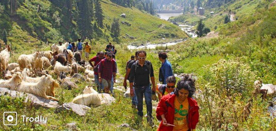 Kheerganga Trek With Backpacker Stay In Kasol