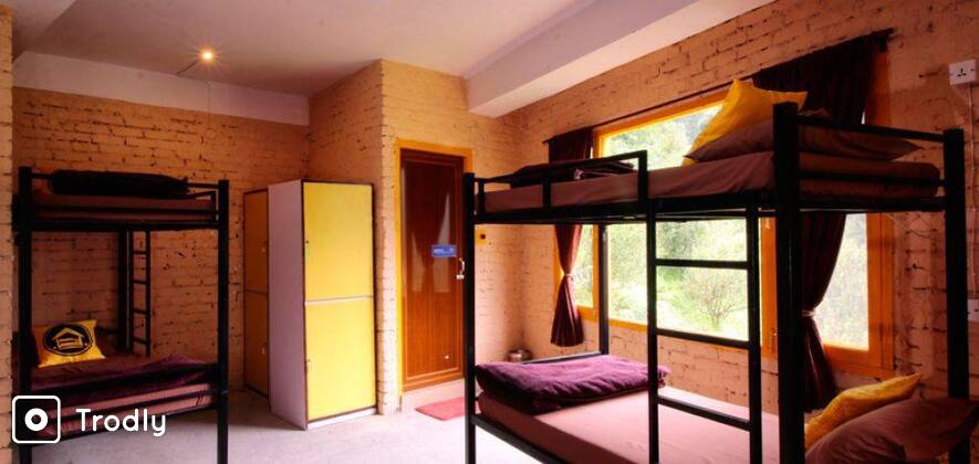 Tosh Trek With Backpacker Stay In Kasol