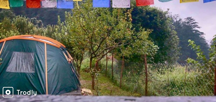 Kheerganga & Tosh trek with backpacker stay in Kasol