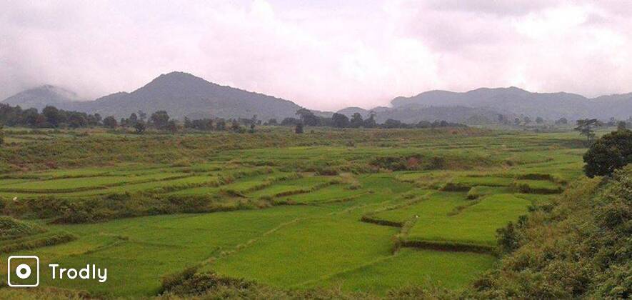 Araku Valley Day Tour from Visakhapatnam