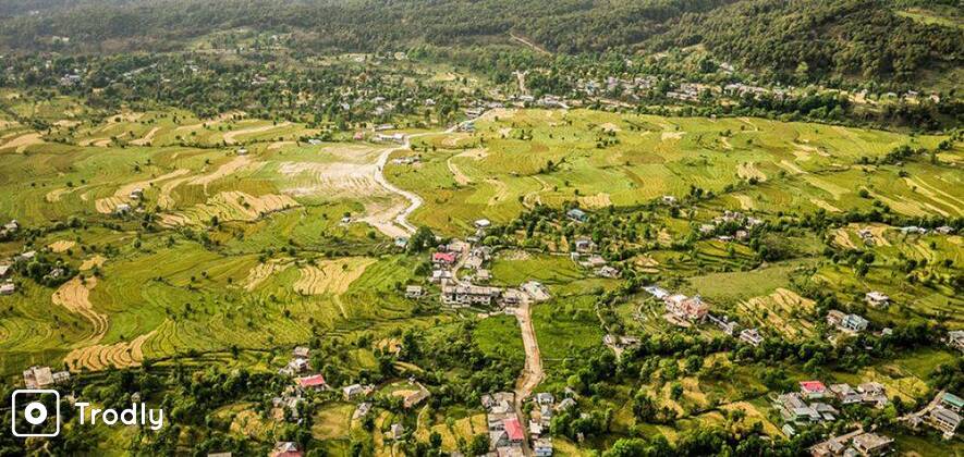 Bir-Billing Paragliding and Camp Stay