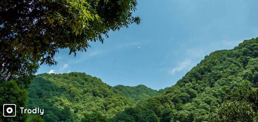 Bir-Billing Paragliding and Camp Stay