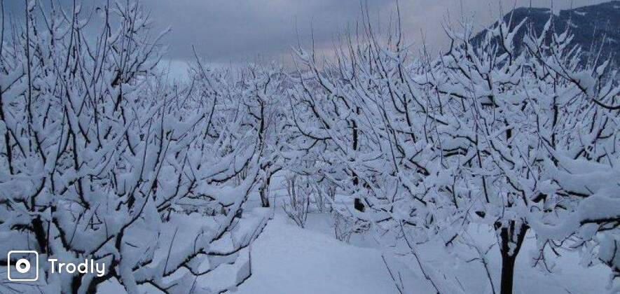 The Kkoot Experience: Winter Adventure in Manali