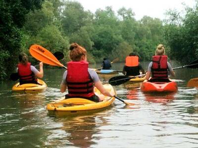 Goa Kayaking Spike's River near Candolim in Goa