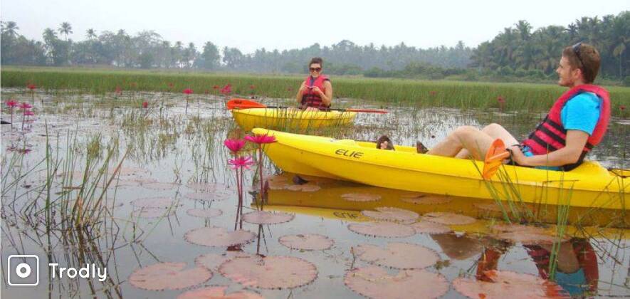 Goa Kayaking Sal Backwaters