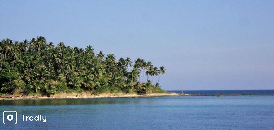Three Island Day Tour - Ross, Viper and North Bay Island