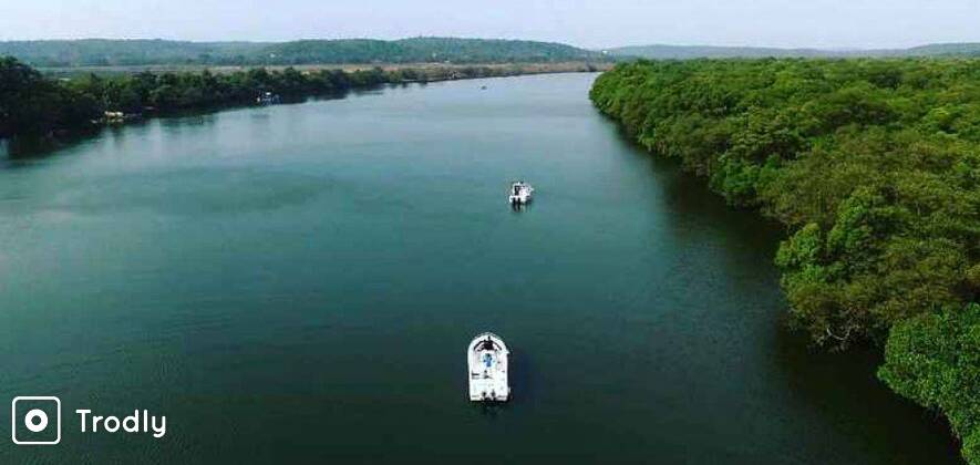 Open Speed Boat Private Cruise in Goa