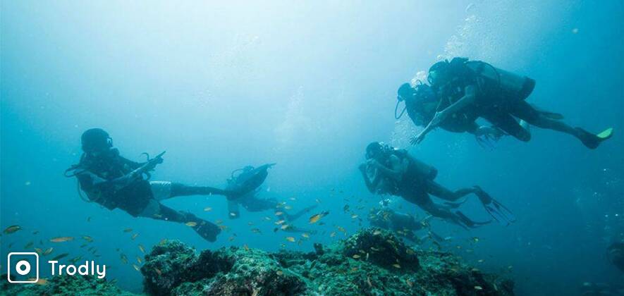 Scuba Diver 2 Day Course at Havelock