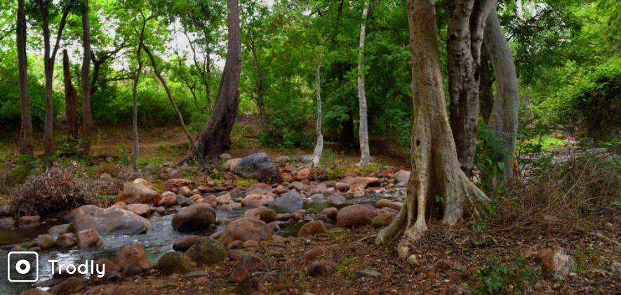 Chinnar Wildlife Tour