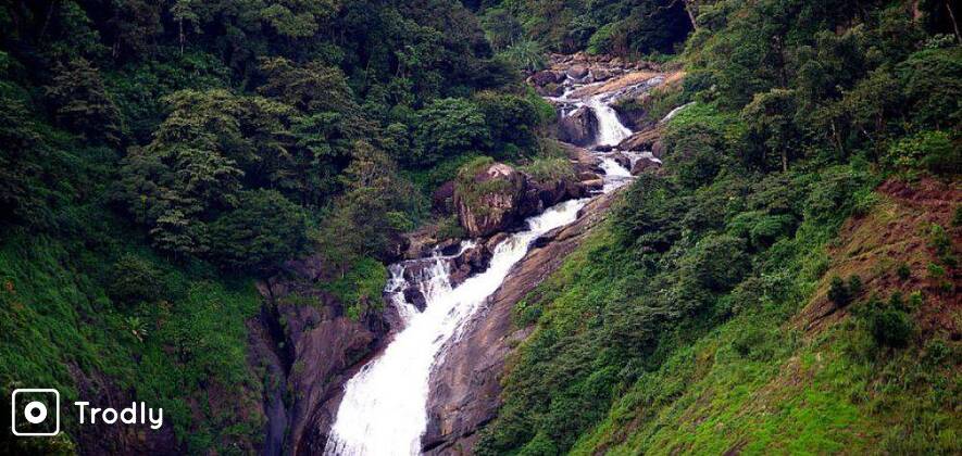 Munnar Sightseeing Tour
