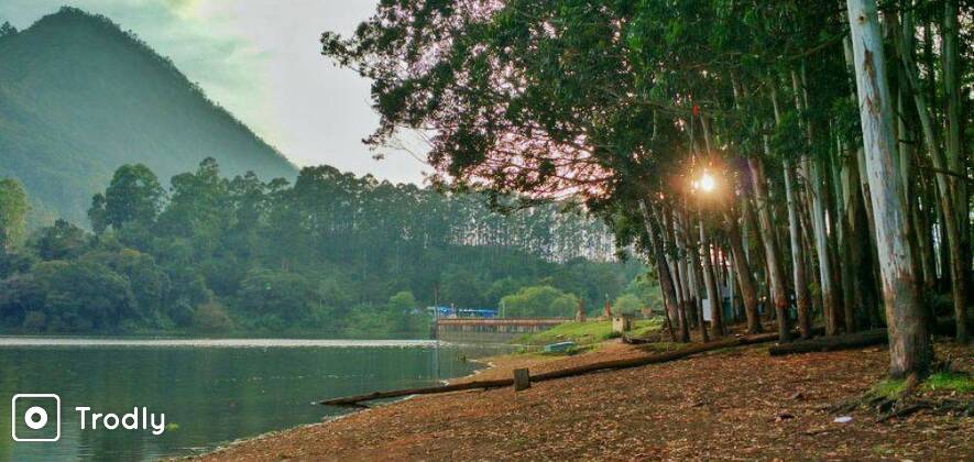 Munnar Half Day Sightseeing Tour