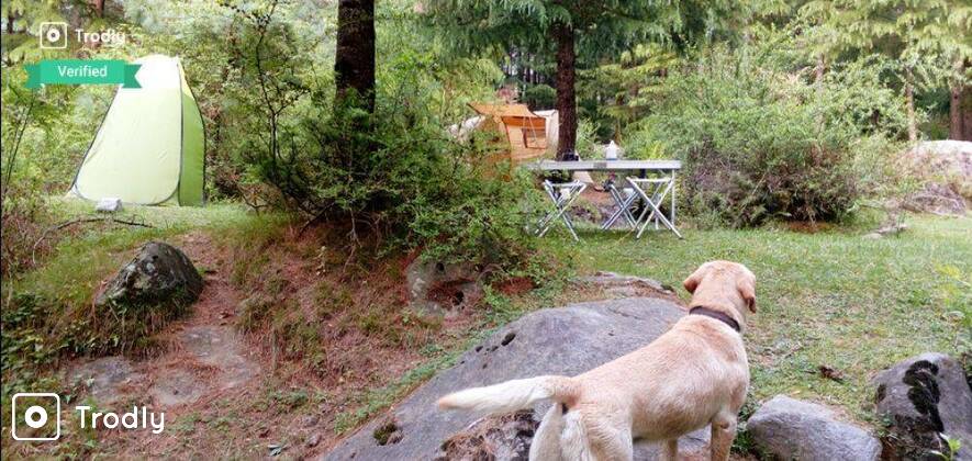 Manali Jungle camping and Old Manali Tour