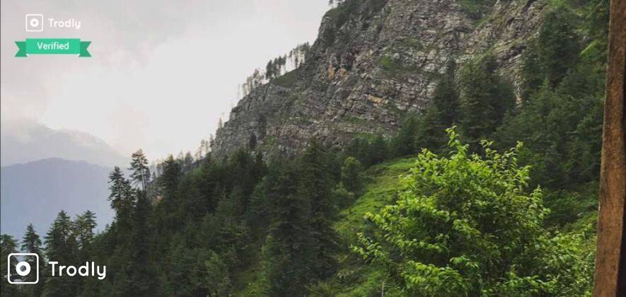Manali Jungle camping and Old Manali Tour