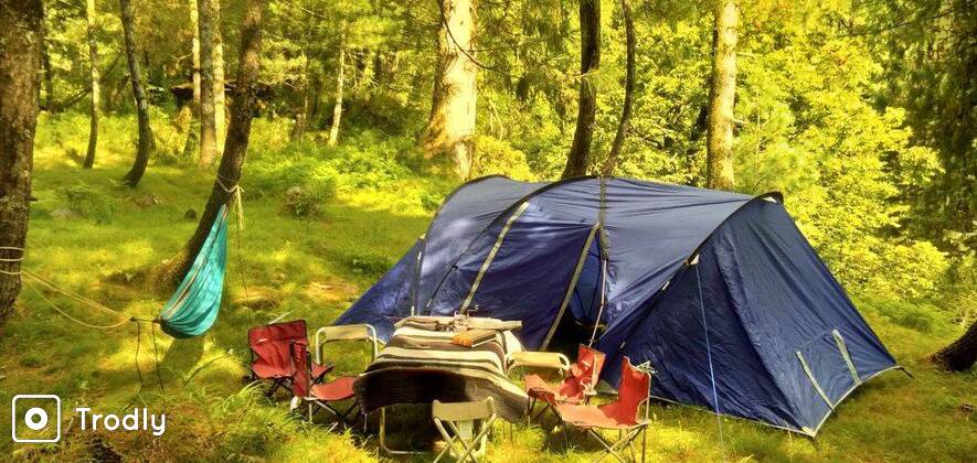 Manali Jungle camping and Old Manali Tour