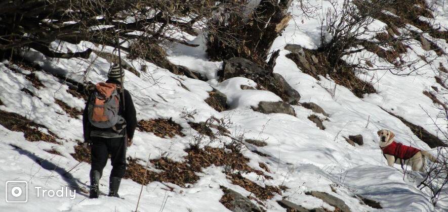 Hampta Snow Trek