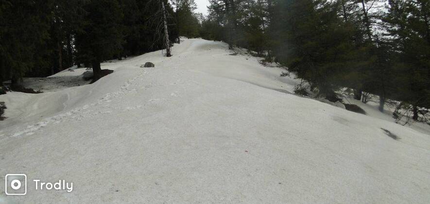 Hampta Snow Trek