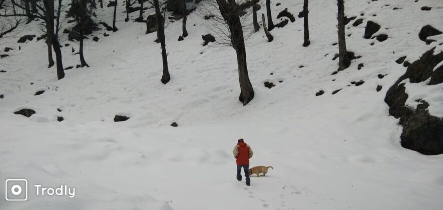 Hampta Snow Trek