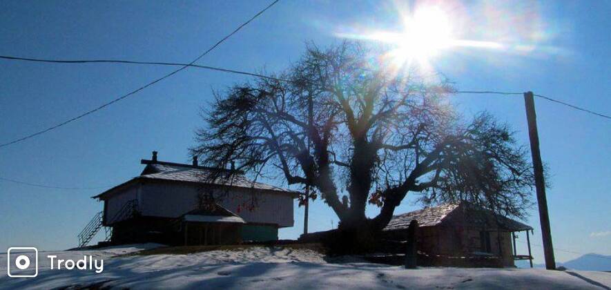Snow Trek To Bijli Mahadev