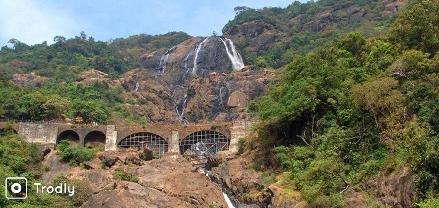 Dudhsagar Falls Trek from Bangalore