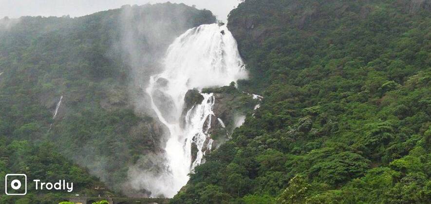 Dudhsagar Falls Trek from Bangalore