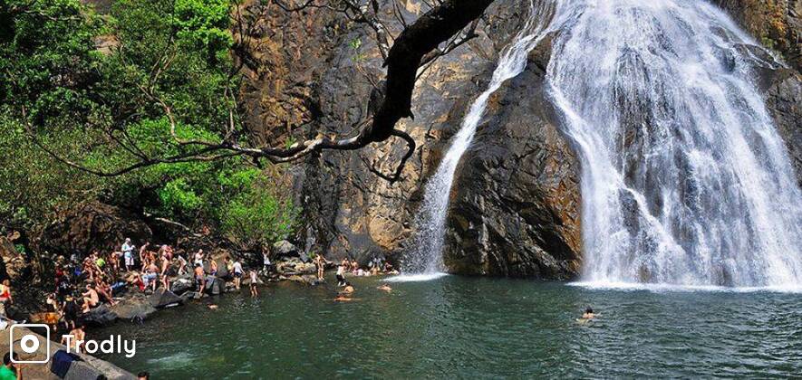 Dudhsagar Falls Trek from Bangalore