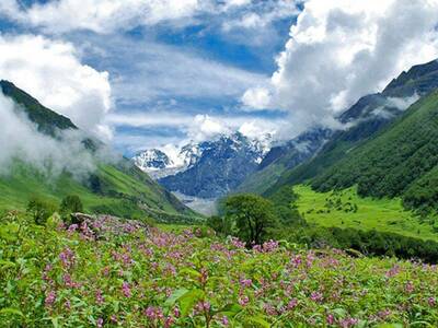Valley of Flowers Trek