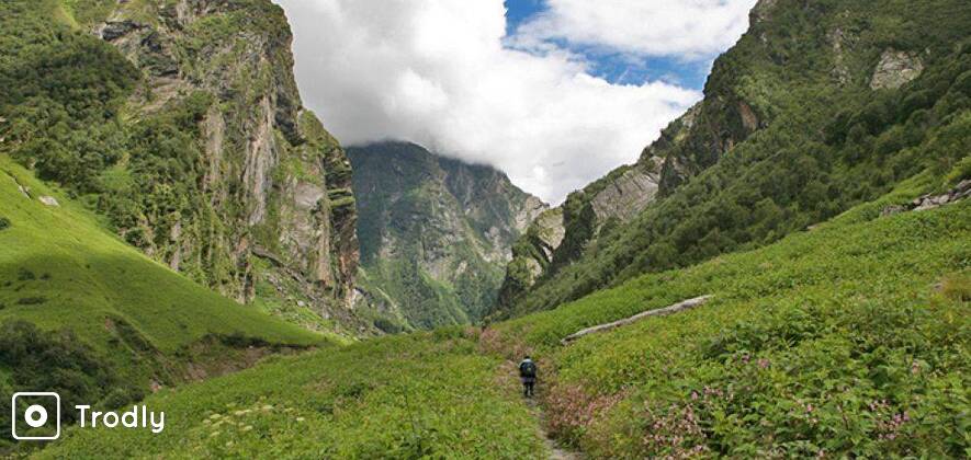Valley of Flowers Trek