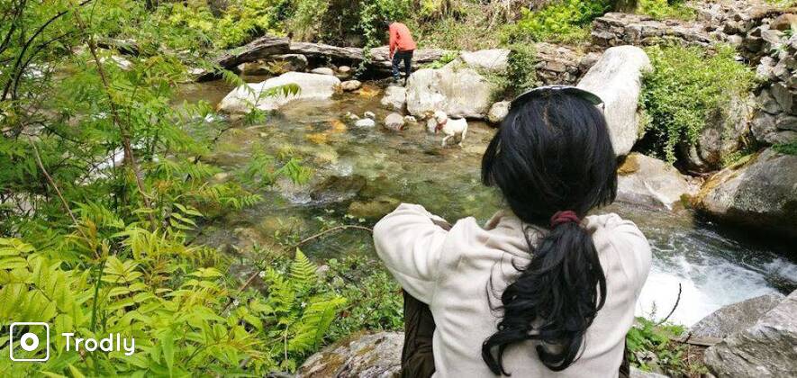 Manali Village Hike & Camping
