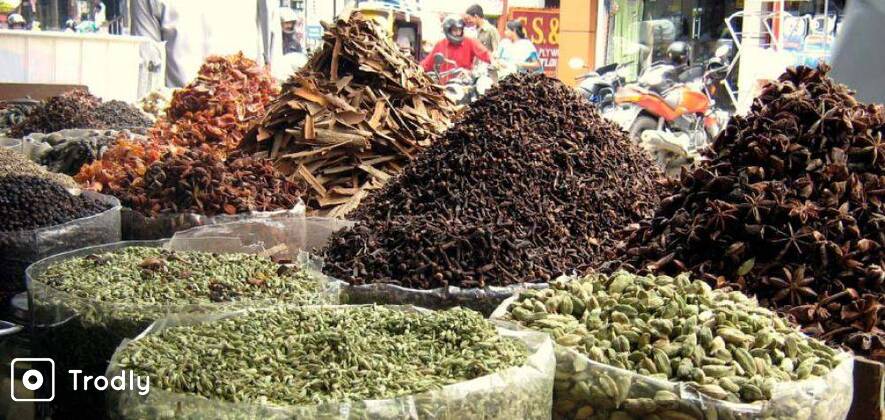 Fort Kochi Guided Private Tour
