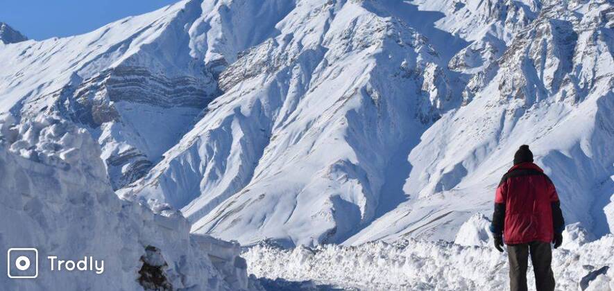 Spiti Snow Leopard Jeep Safari