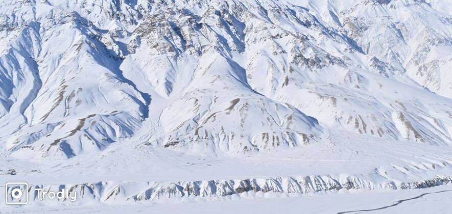 Spiti Snow Leopard Jeep Safari