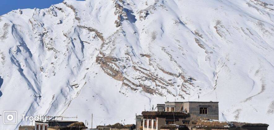 Spiti Snow Leopard Jeep Safari