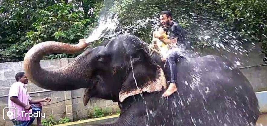 Ways Of An Elephant - Special Thekkady Day Tour