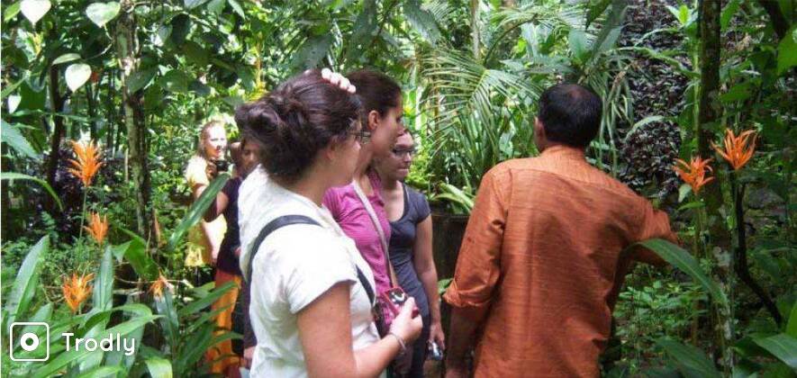 Ways Of An Elephant - Special Thekkady Day Tour