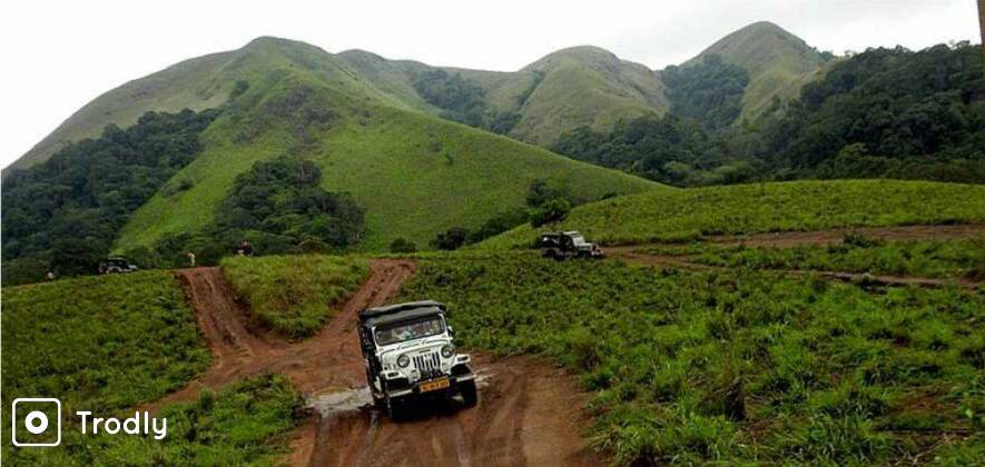 Ways Of An Elephant - Special Thekkady Day Tour