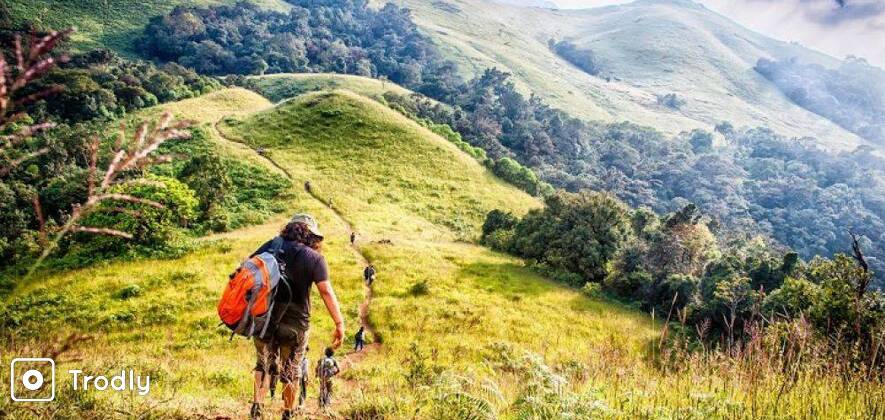 Kodachadri Trek