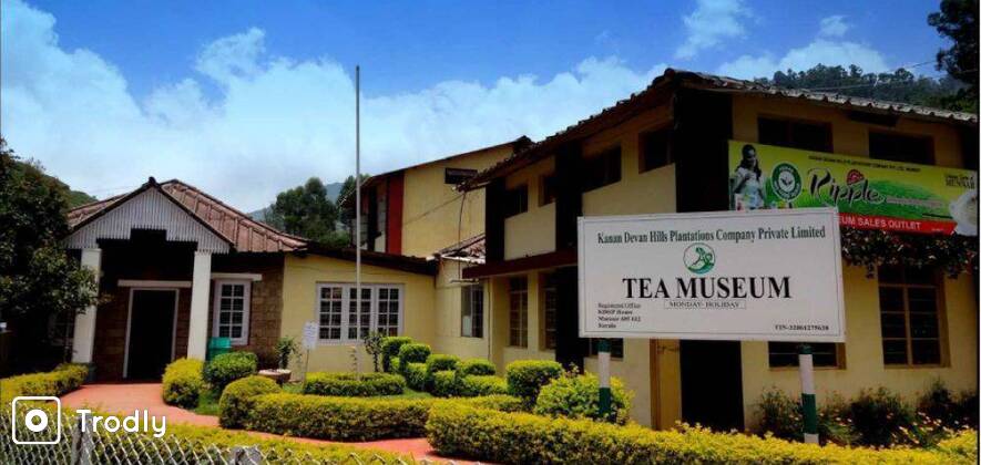 Story Of Tea - Munnar's 100 Year Old Tea Factory Visit