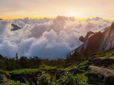 Meesapulimala Peak Trekking and Camping from Munnar