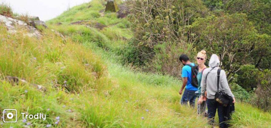Lakshmi Hill Trek near Munnar