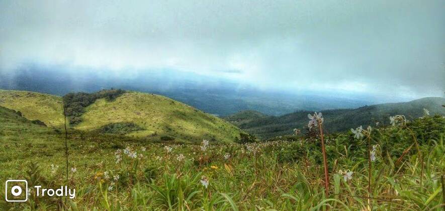 Tadiandamol Coorg Trek
